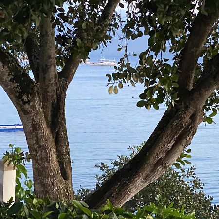 Pescador View - Beachfront & Nearby The Ocean Hostels & Restaurant Moalboal Exterior foto
