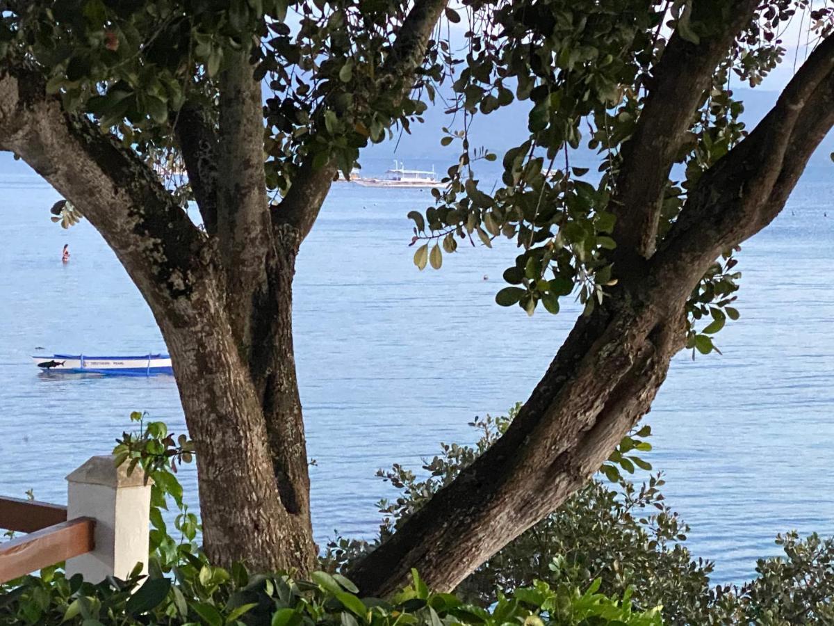 Pescador View - Beachfront & Nearby The Ocean Hostels & Restaurant Moalboal Exterior foto