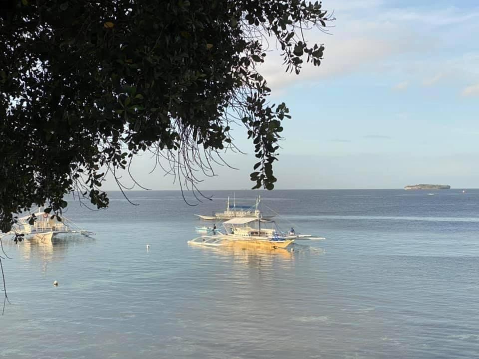 Pescador View - Beachfront & Nearby The Ocean Hostels & Restaurant Moalboal Exterior foto