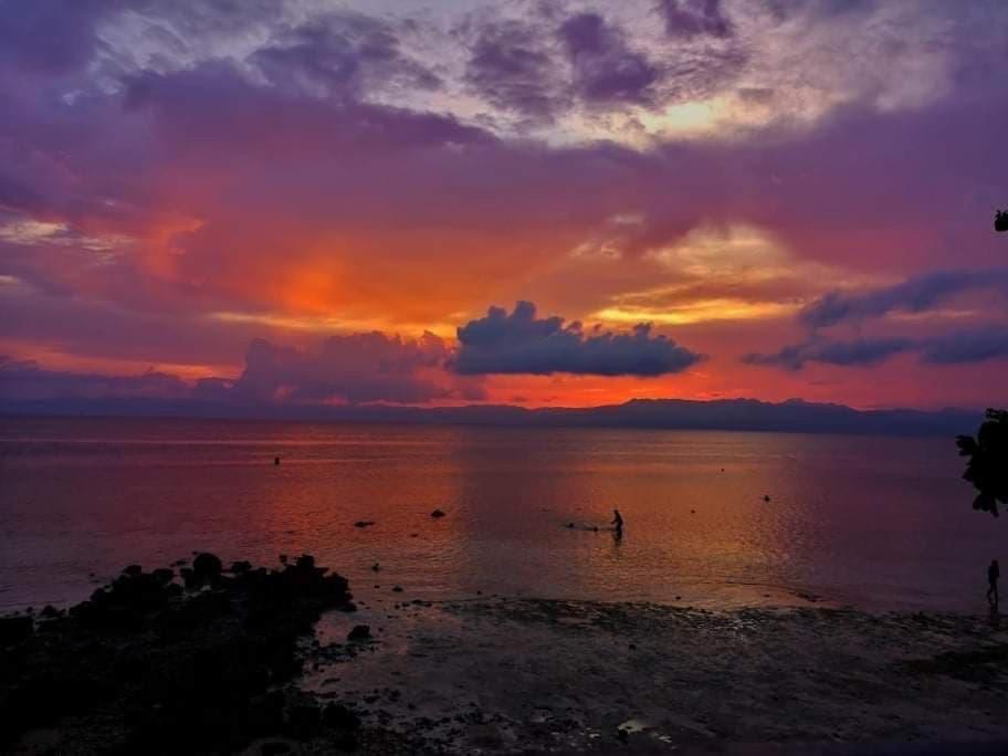 Pescador View - Beachfront & Nearby The Ocean Hostels & Restaurant Moalboal Exterior foto