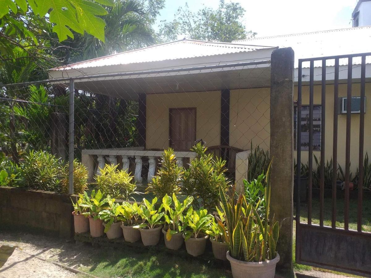 Pescador View - Beachfront & Nearby The Ocean Hostels & Restaurant Moalboal Exterior foto