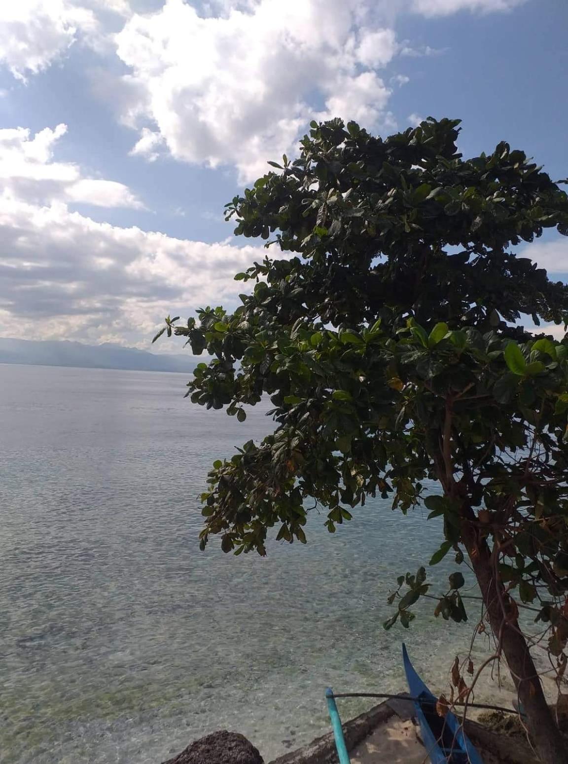 Pescador View - Beachfront & Nearby The Ocean Hostels & Restaurant Moalboal Cameră foto
