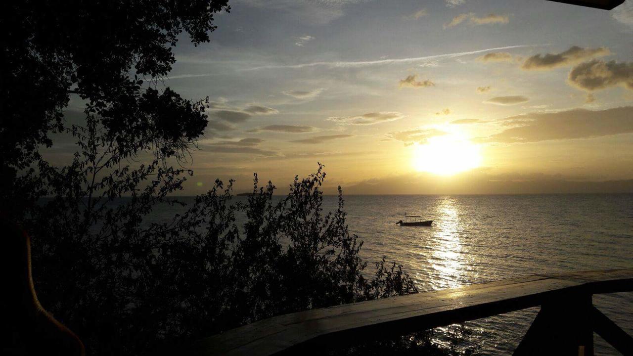 Pescador View - Beachfront & Nearby The Ocean Hostels & Restaurant Moalboal Exterior foto
