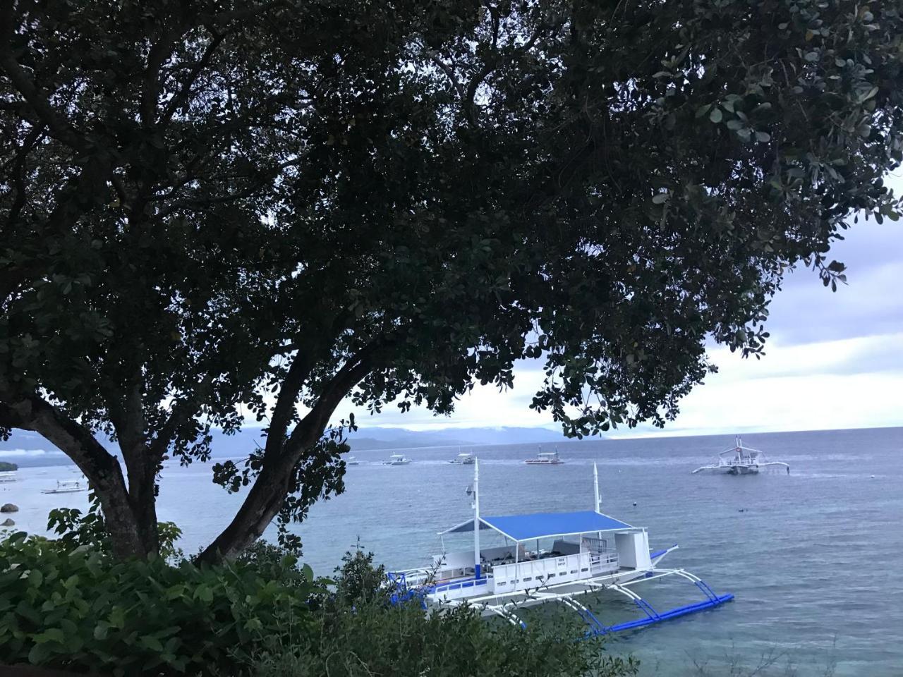 Pescador View - Beachfront & Nearby The Ocean Hostels & Restaurant Moalboal Exterior foto
